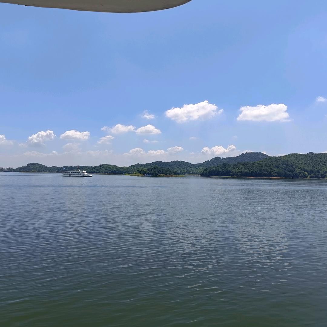 🌟🌟2025🌟🌟