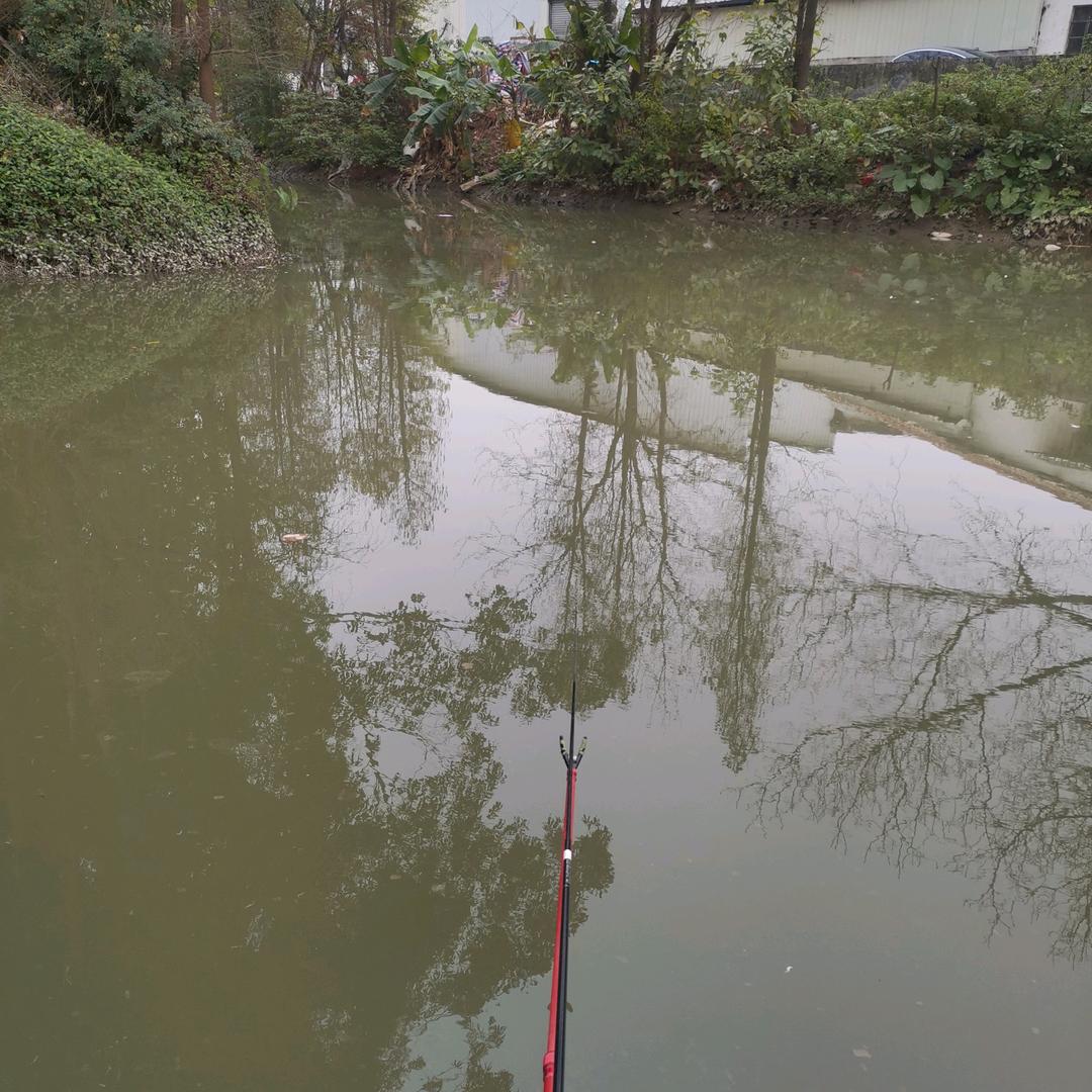 情💋为🌹何❤物