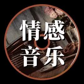 风💞🎸音乐