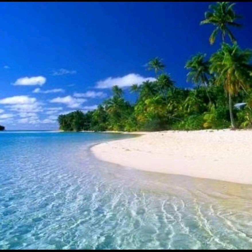 顶流