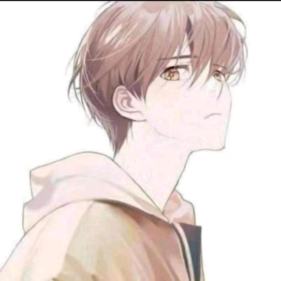 芳芳的干货日记