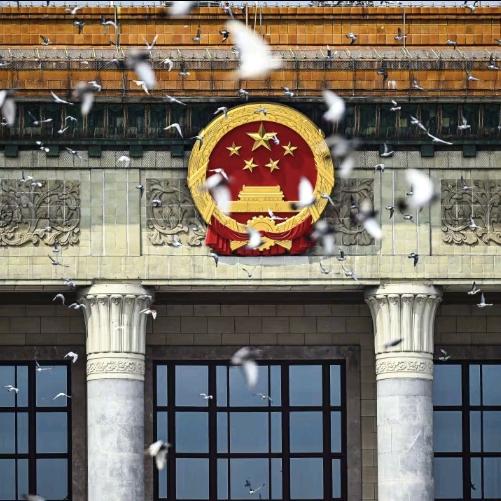 一只幸运喵