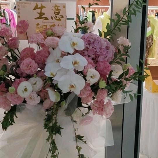 阳光总在风雨后