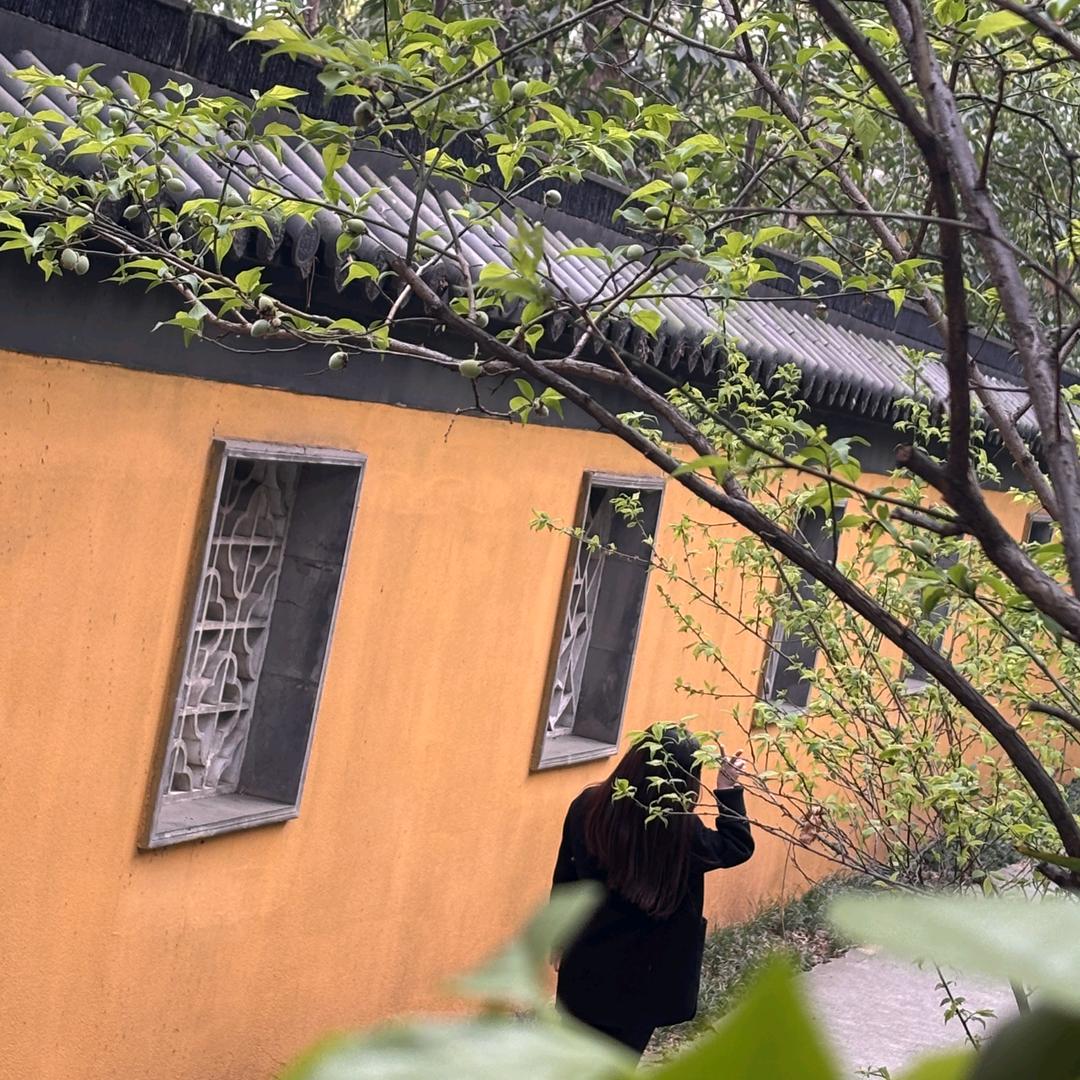 清辞🐝