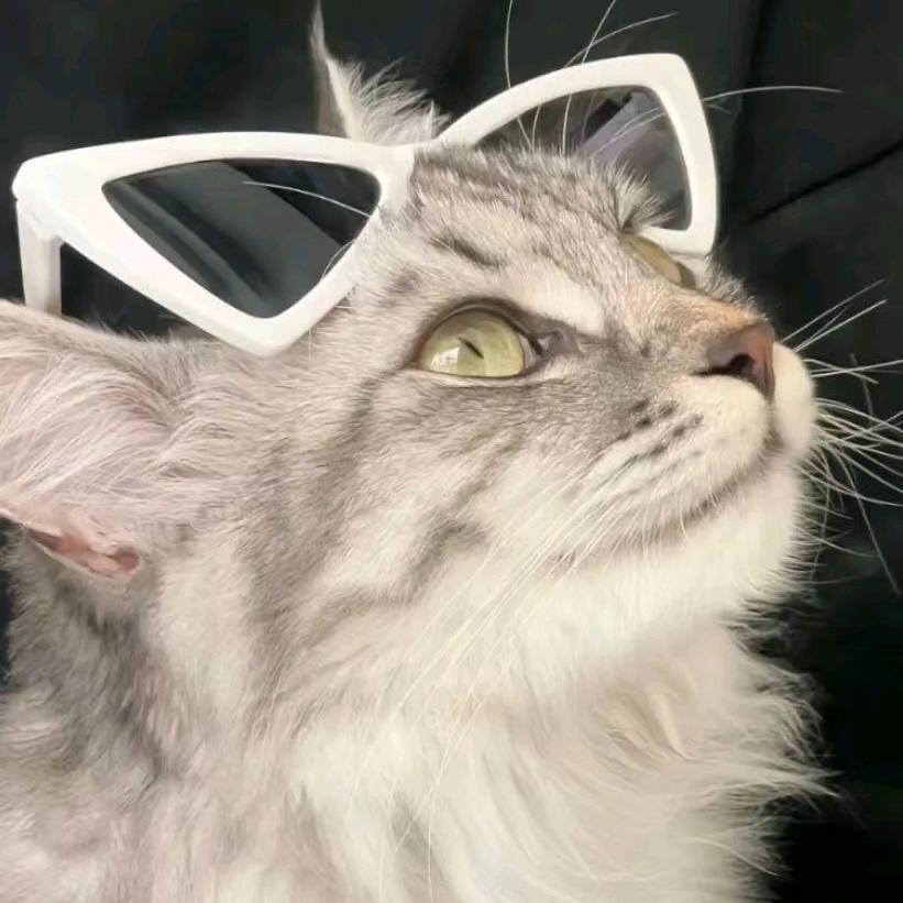 旭日黄昏  ⃒⃘⃤🅴