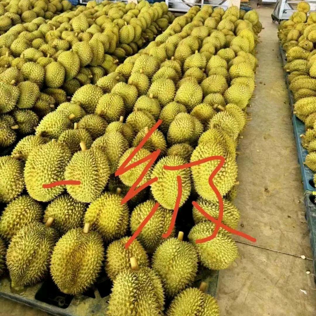 🍓优滋鲜果.零食