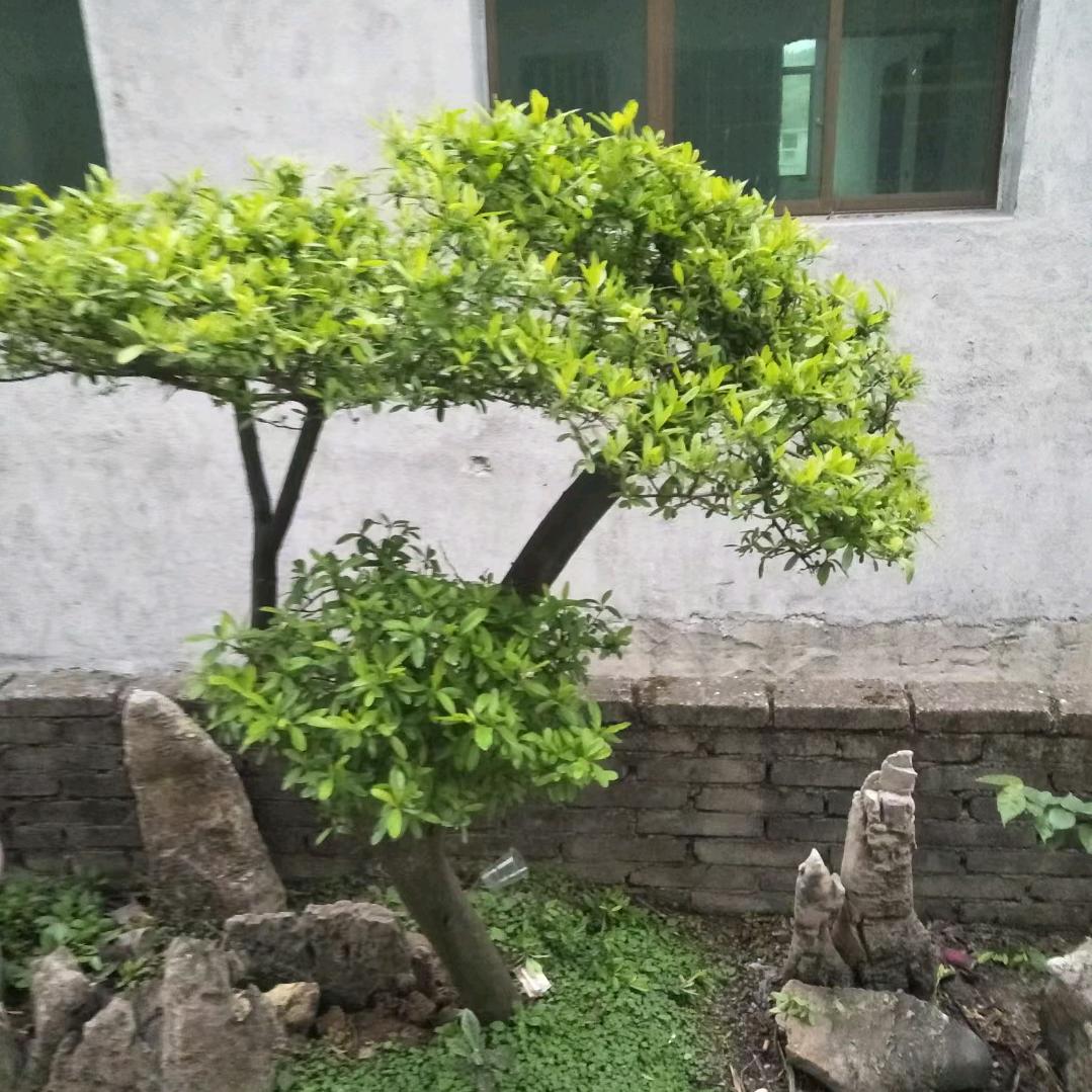 一❤️