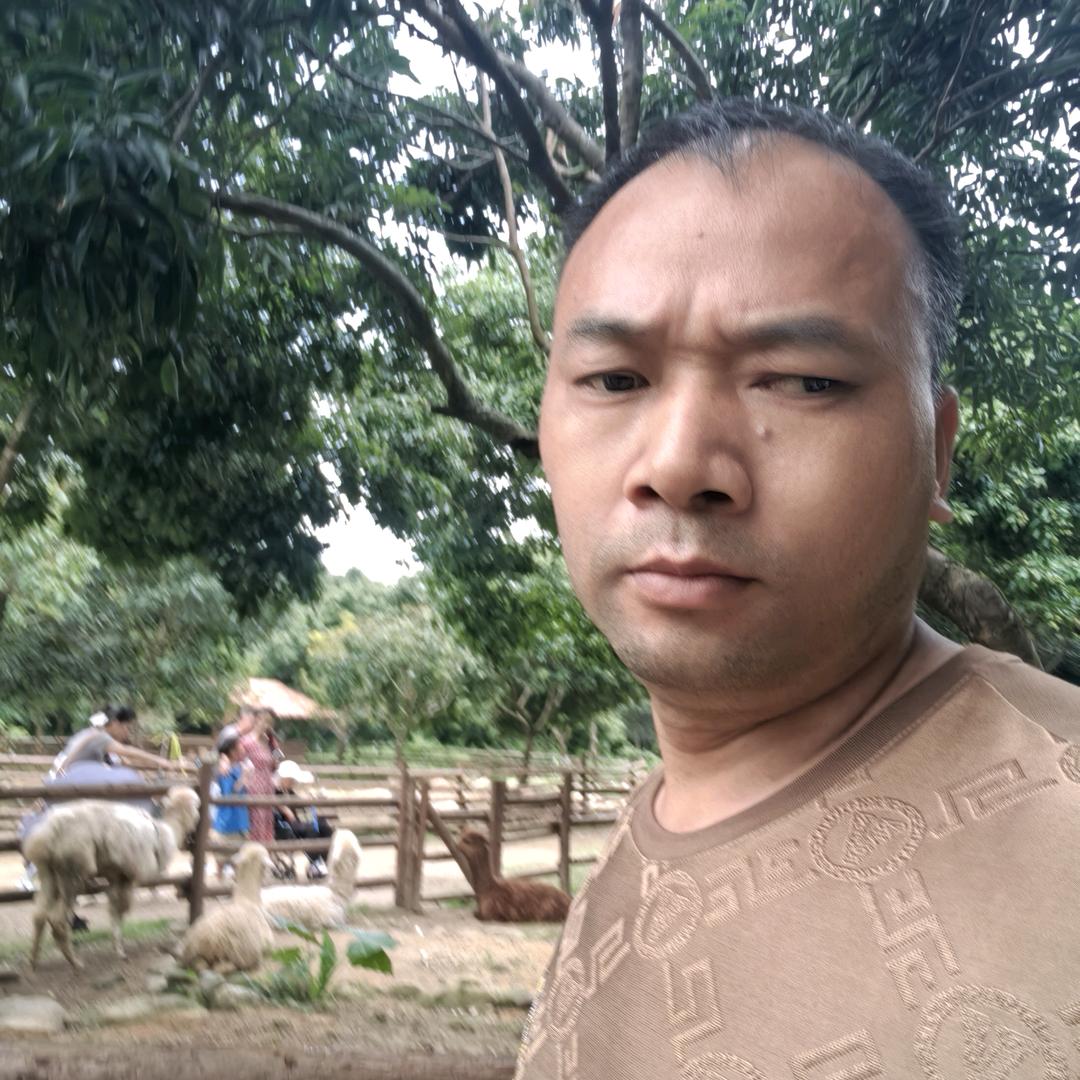 天天走好运