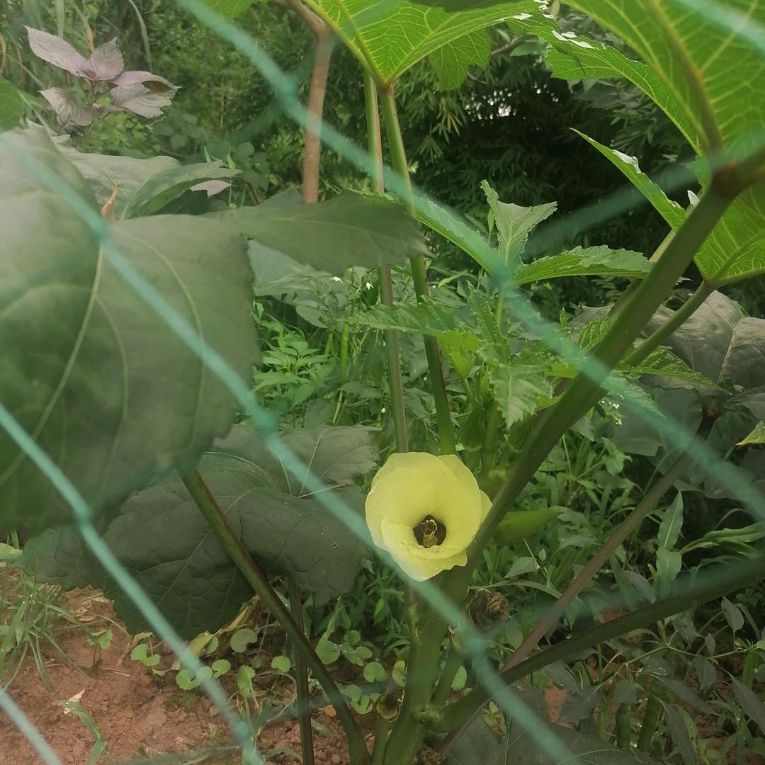 竹墨残水卐烟花冷