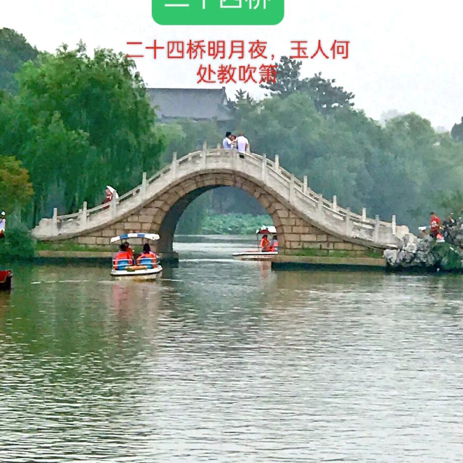 维扬一株花，四海无同类。