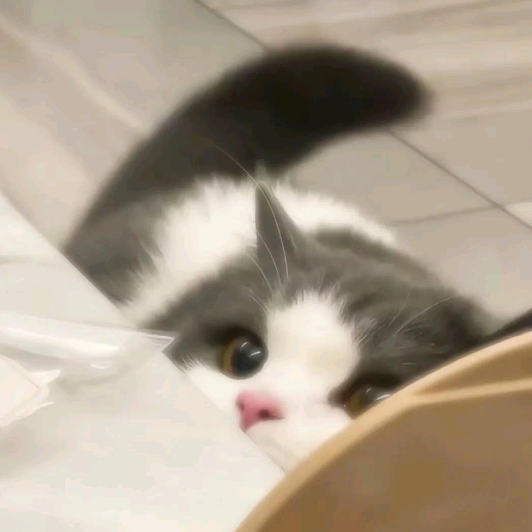 超级蟹黄堡