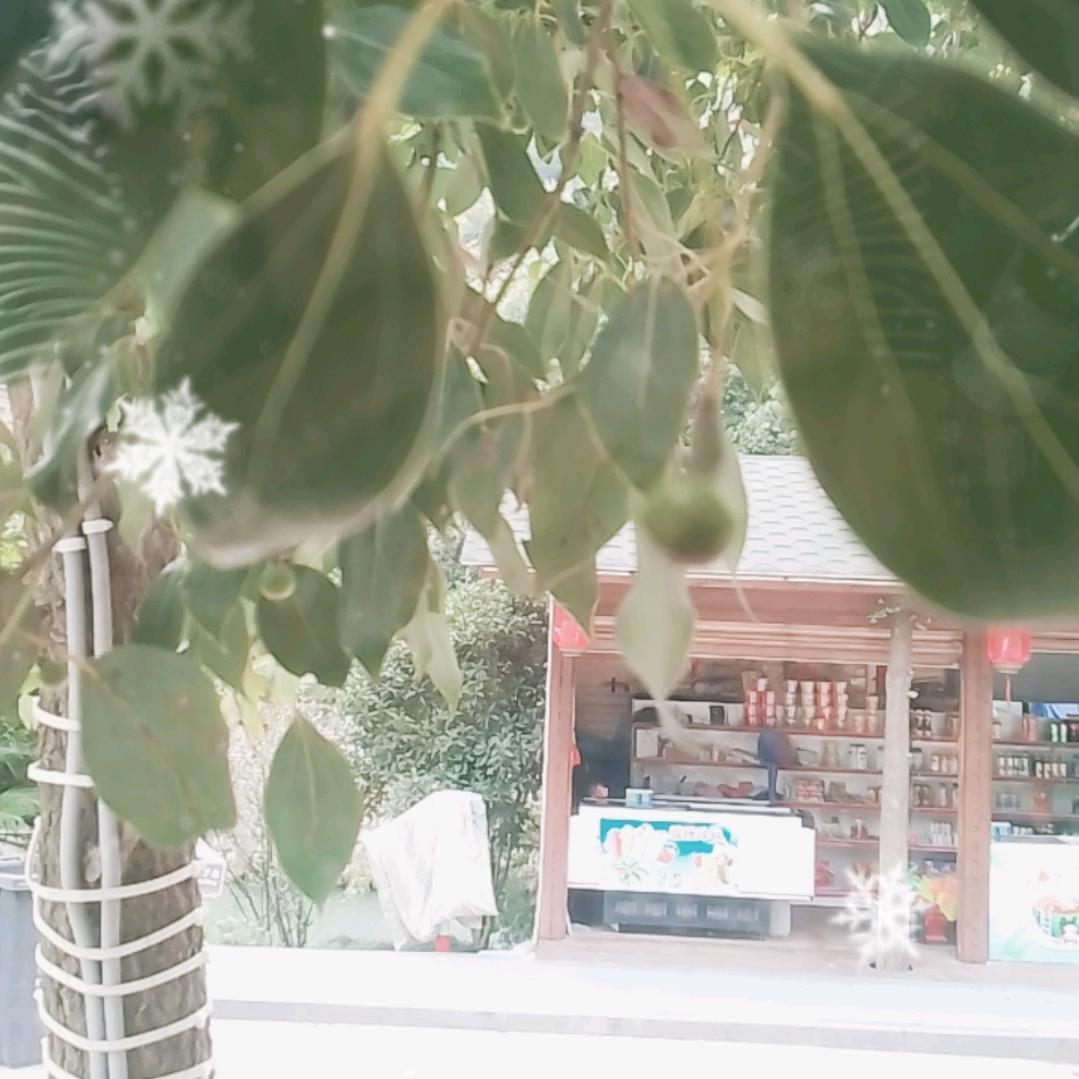 花生米