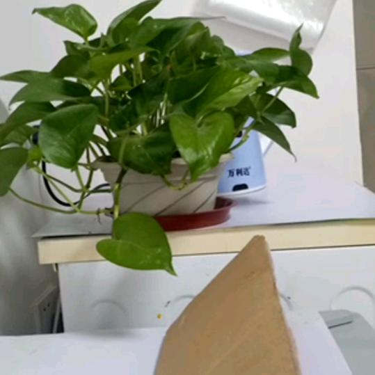 简单明了