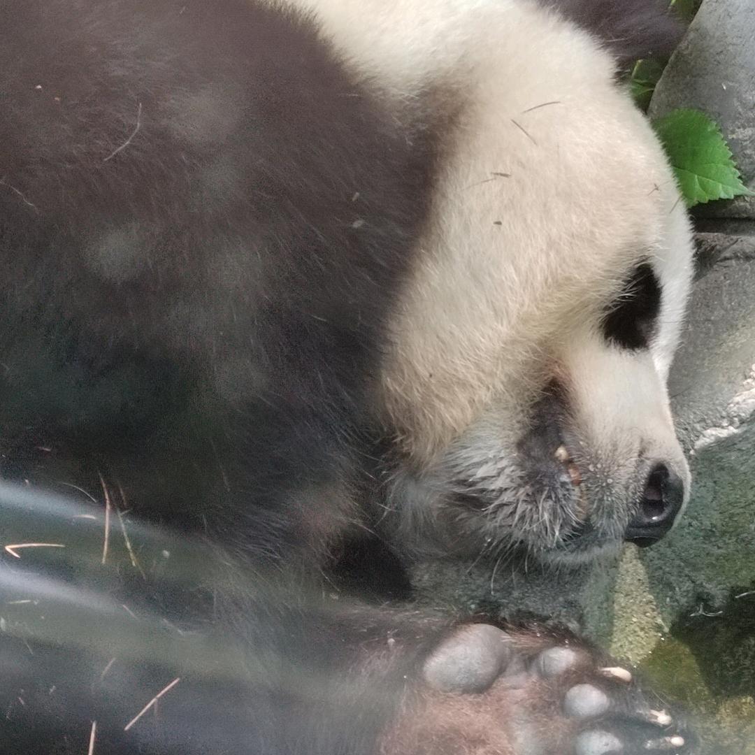 快乐宝贝210❤️