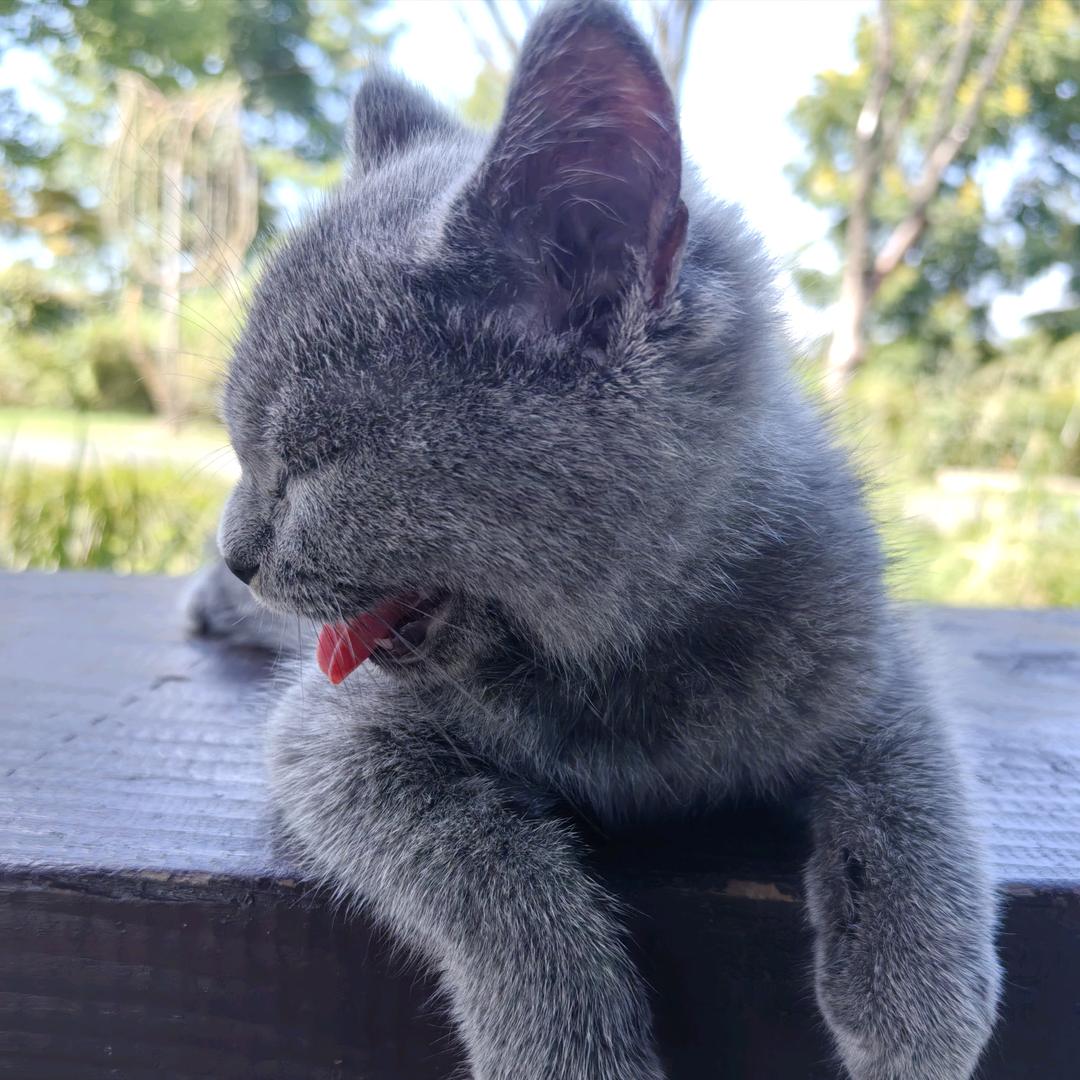 🌈Molly🌈