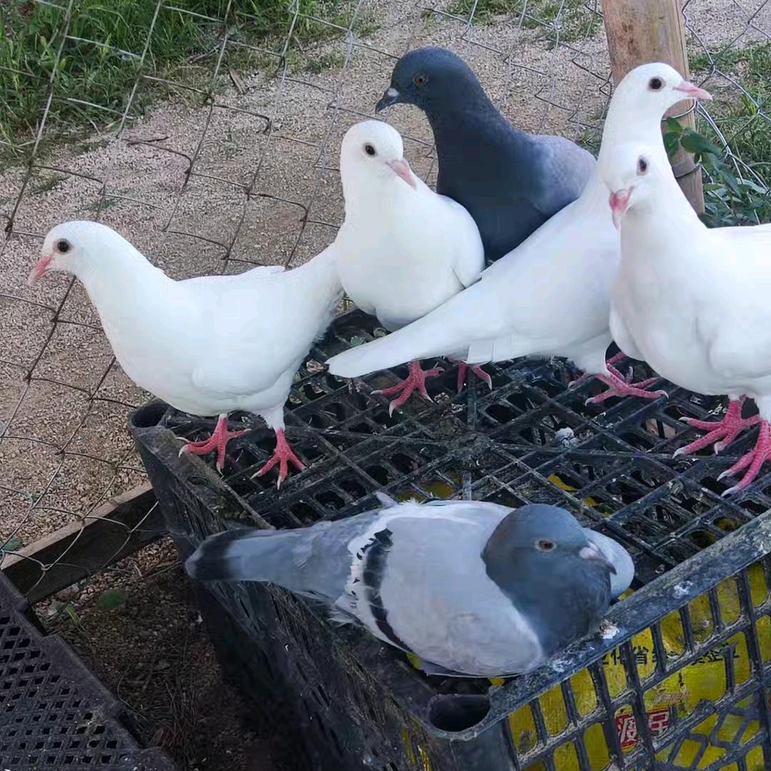 保持微笑