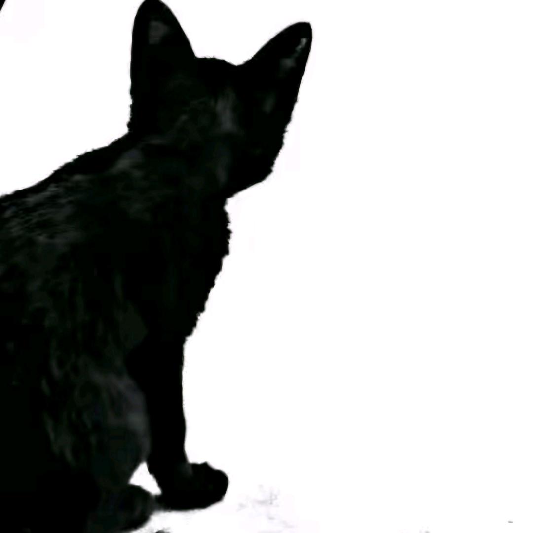 心事全在脸上  🤘