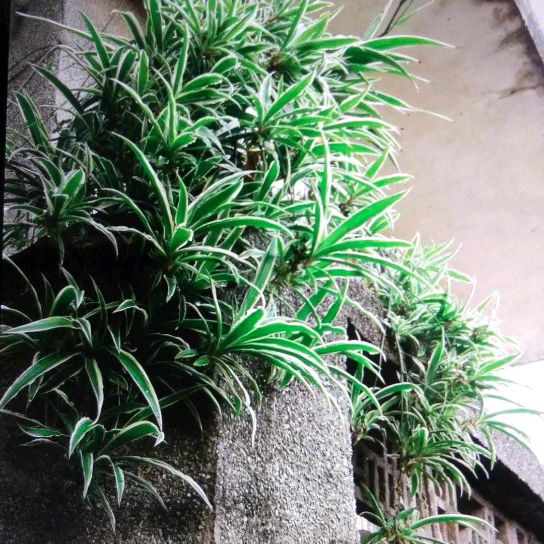 @静心@
