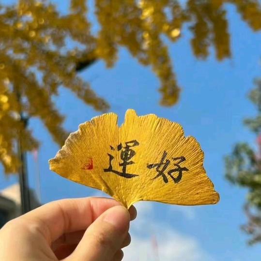 好运臻选
