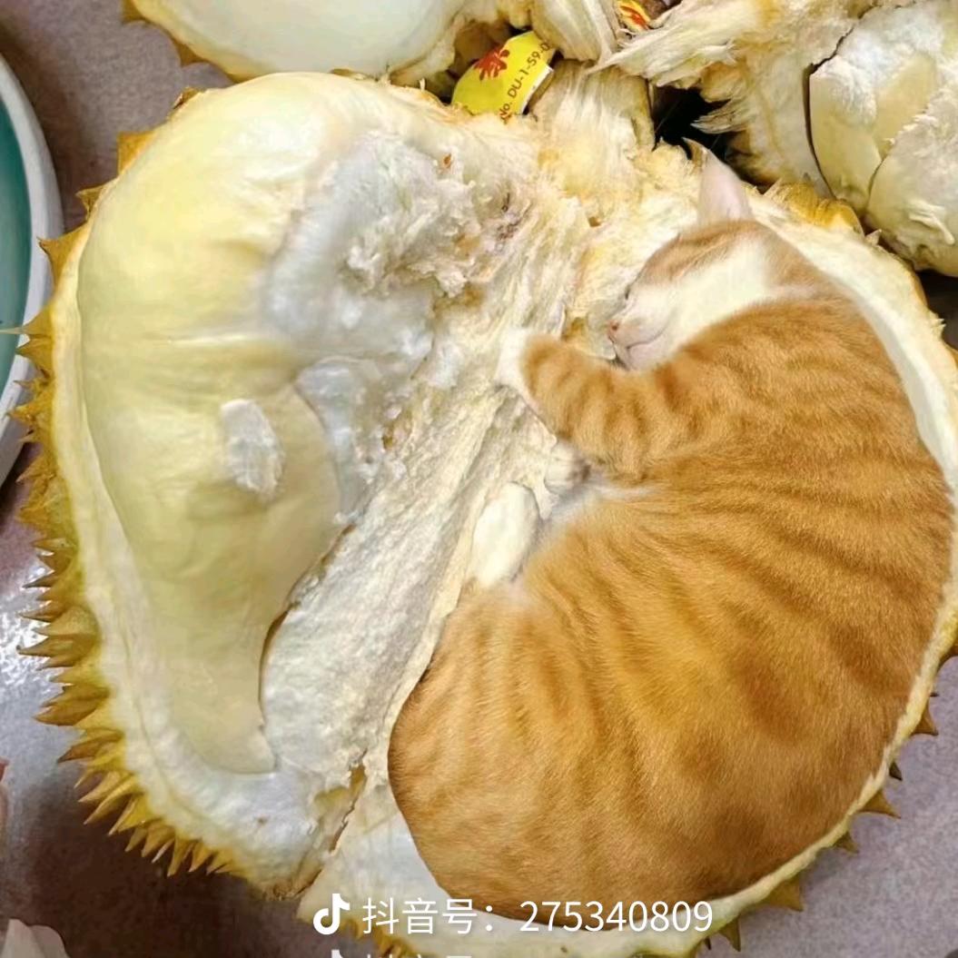 每天都被自己帅醒- ̗̀(๑ᵔ⌔ᵔ๑)