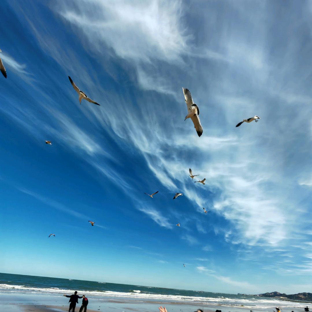 我叫李东泽✌✌