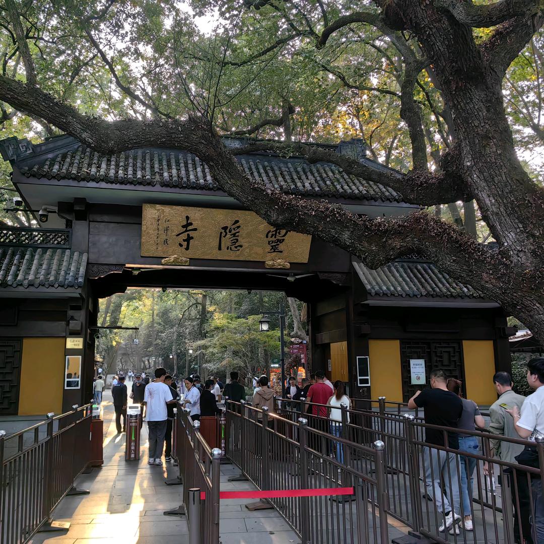 狼行千里