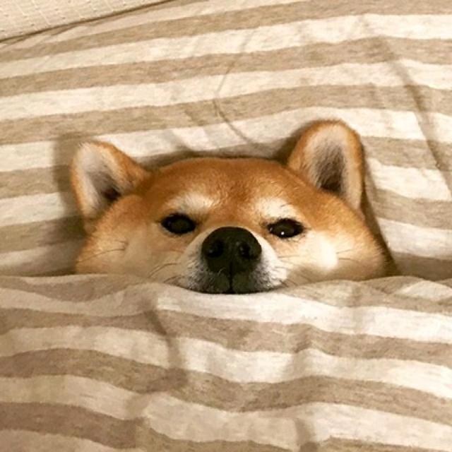 早点睡吧🤙