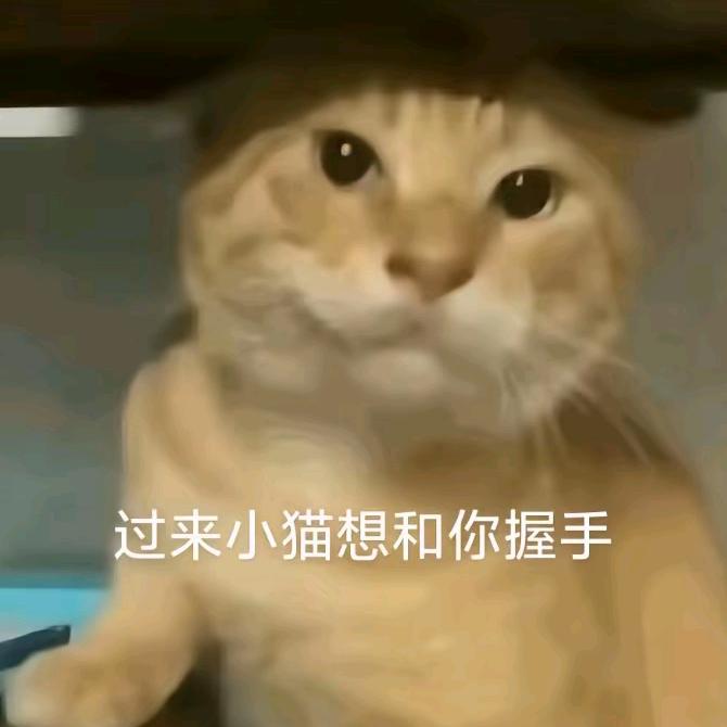 雨爱