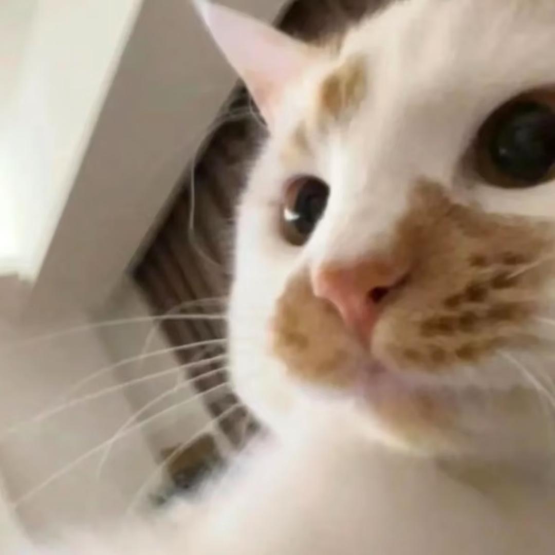 叫我梭梭