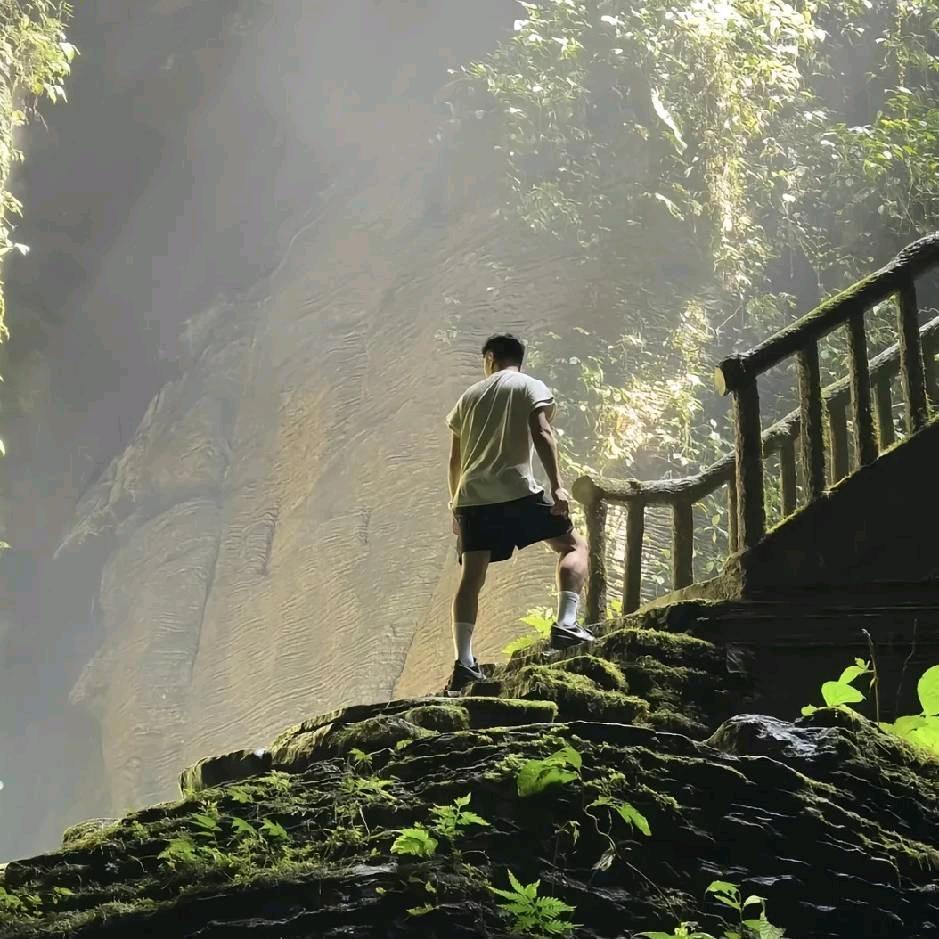 蓝桉长在洱海边