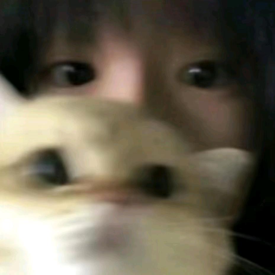 爱吃薯片味的青瓜