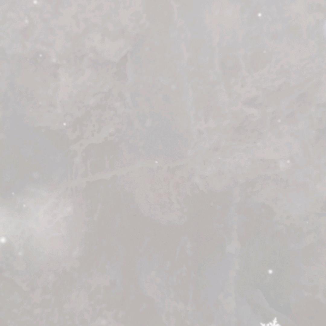 星月