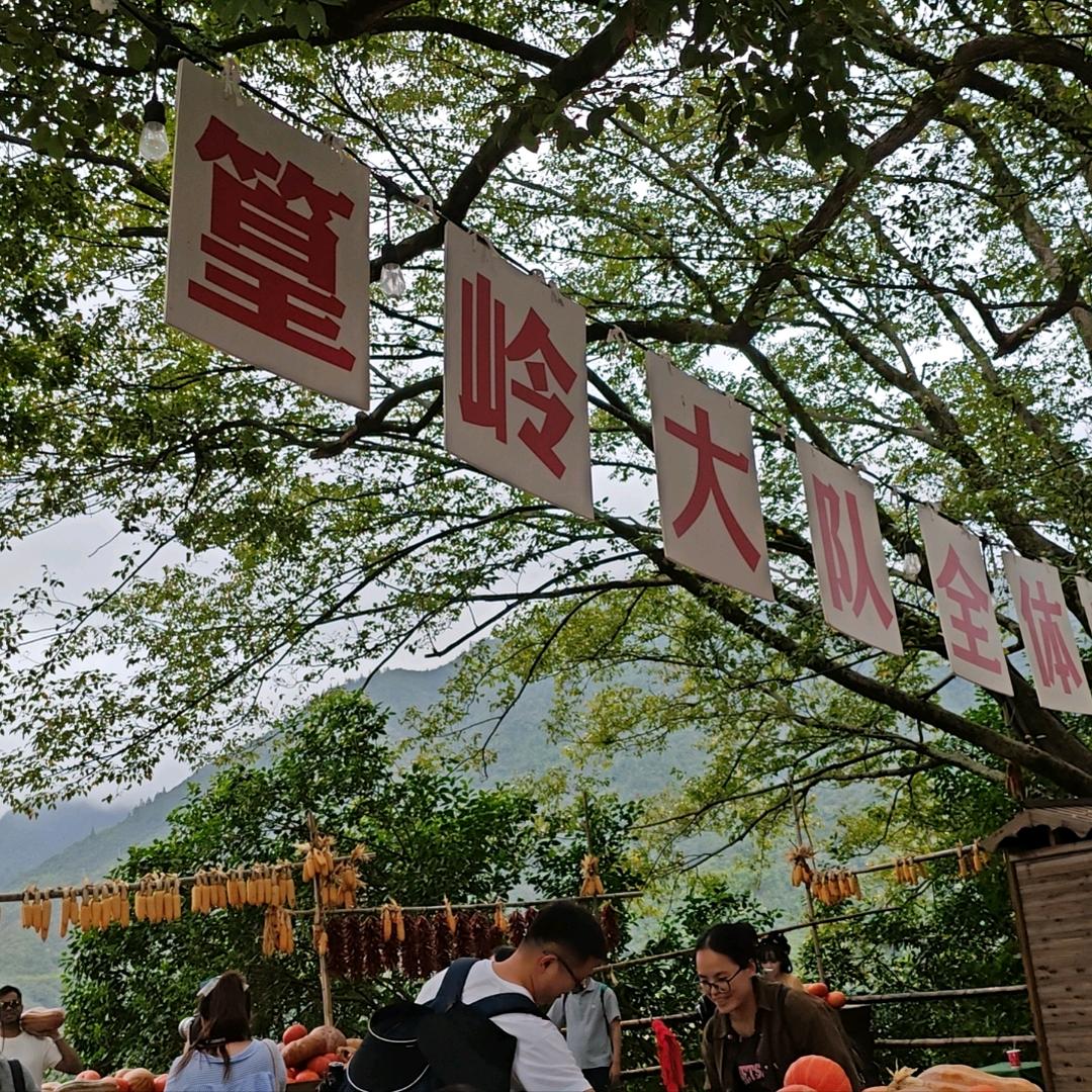 合肥居间刘行长