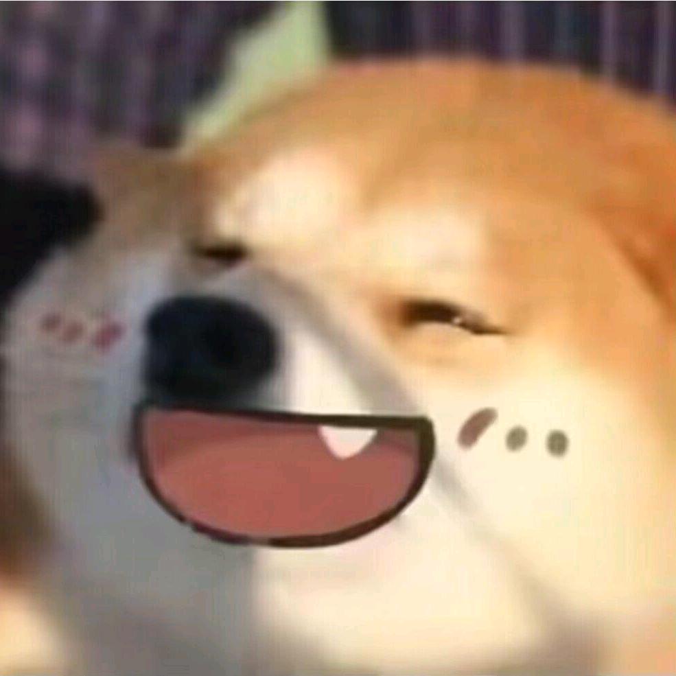 哈里斯鼠
