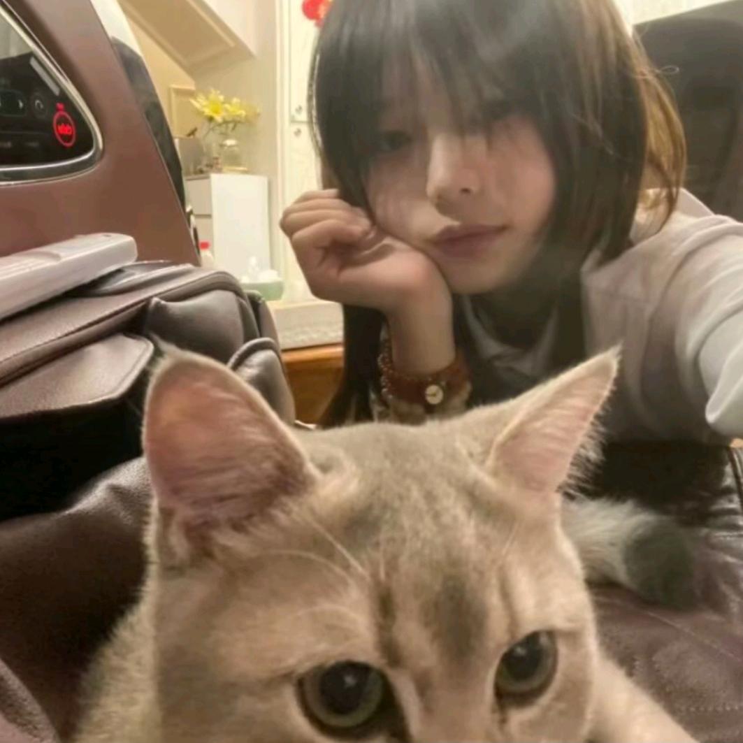小金萌殿