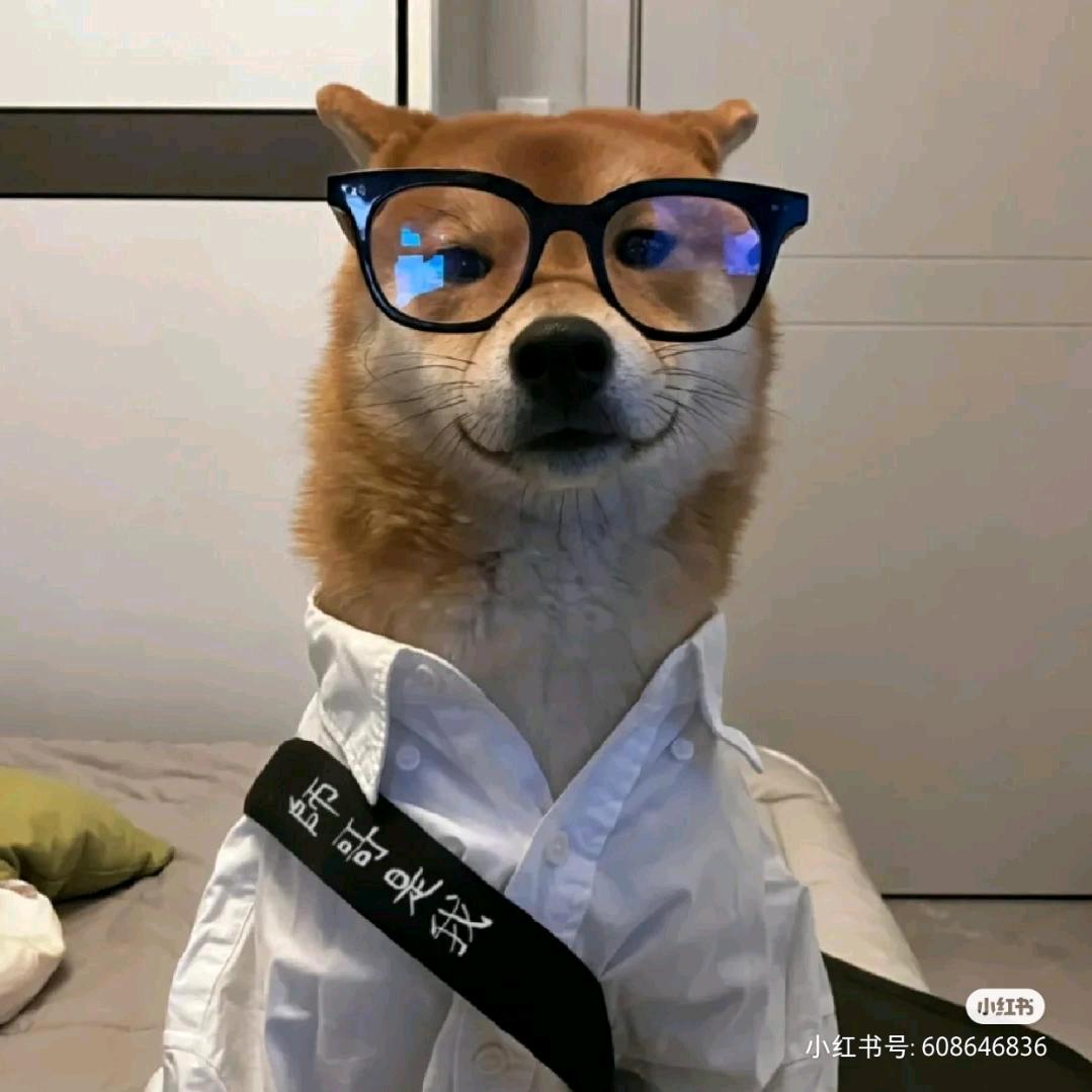 我也没有那么优秀啦~😎