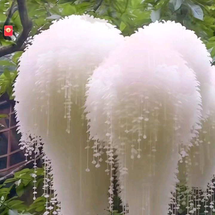 那天r187