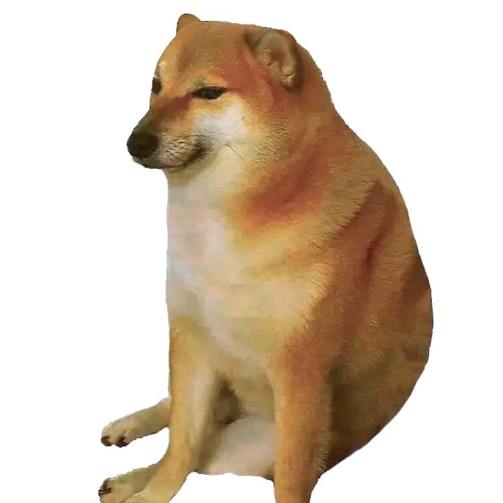 瑜丛