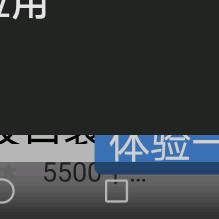 Z珍珍