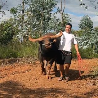 钱、是男儿魂  🚬