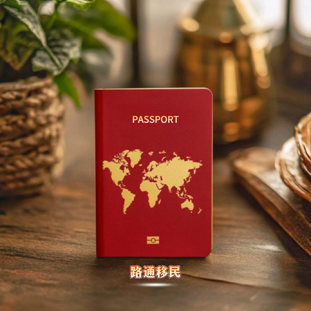 发哥 路通移民