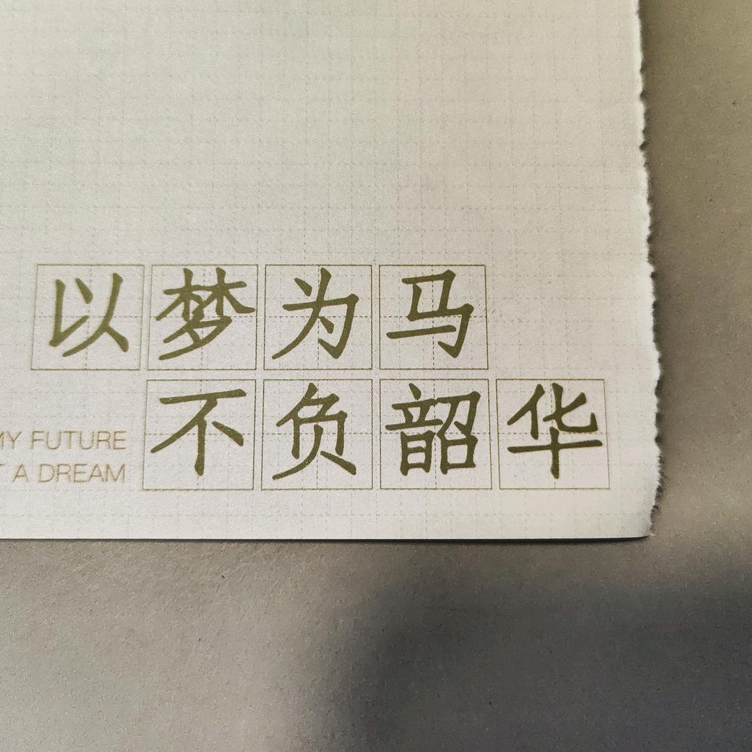 不爱学习的川川