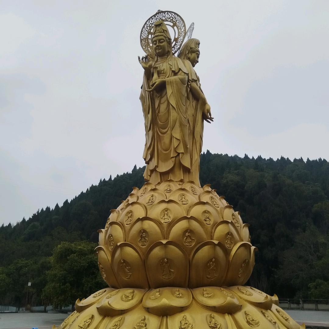 独🦅