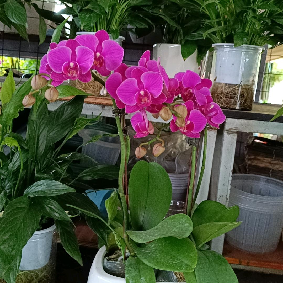 手机用户79363383155