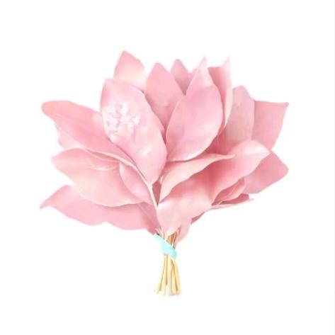 八爪鱼为什么没有九条腿.