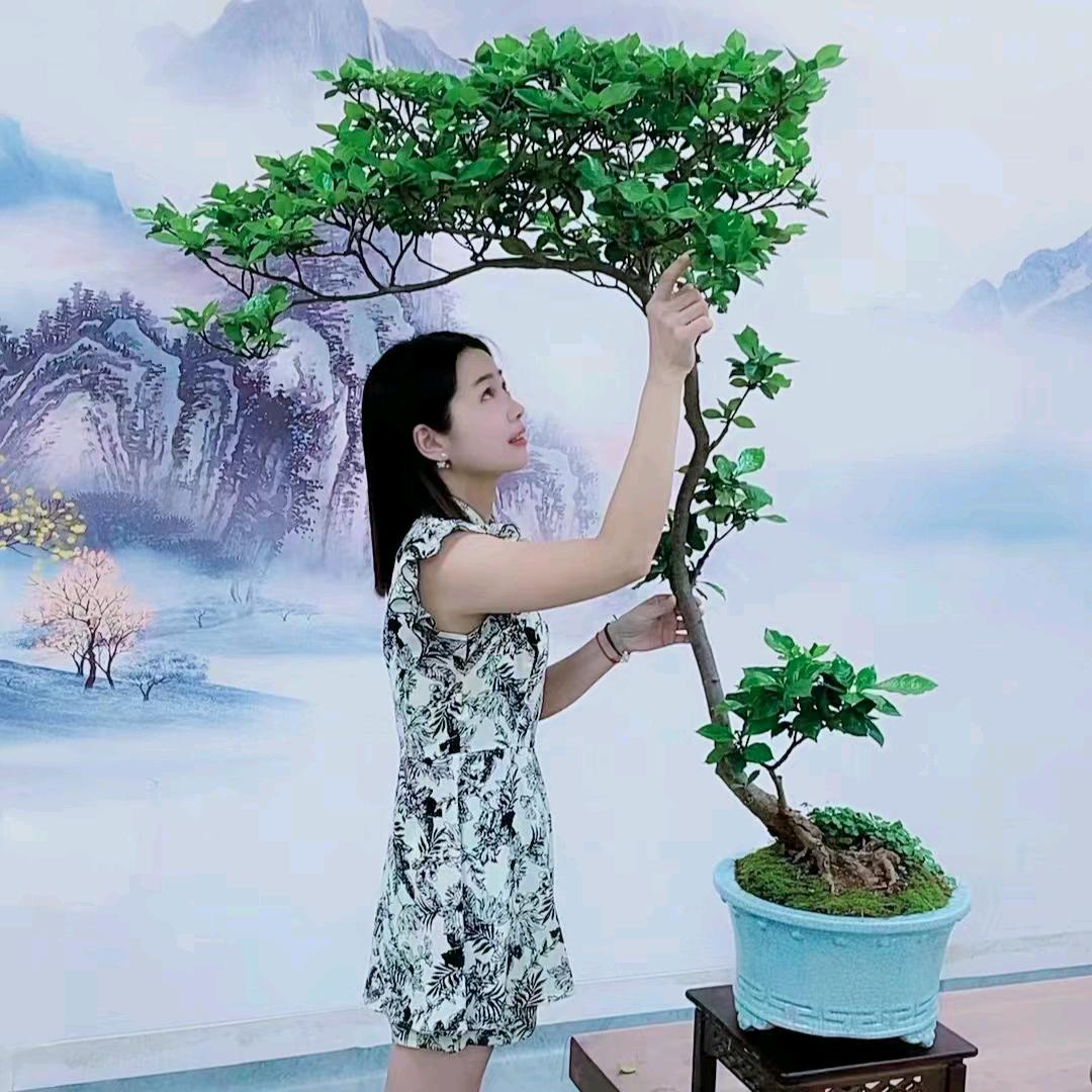 铭章园艺