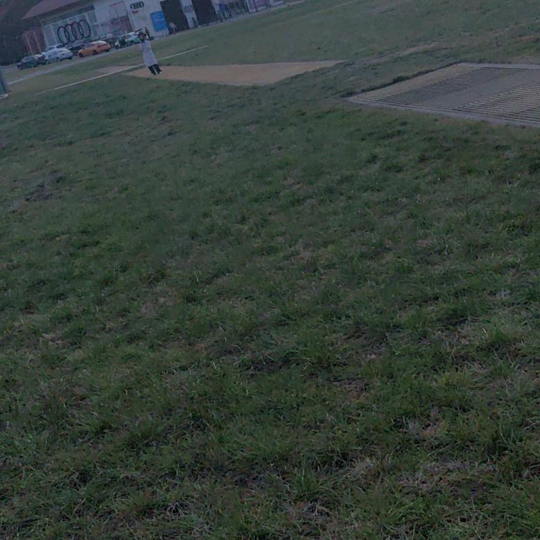 新金生鲜个体店