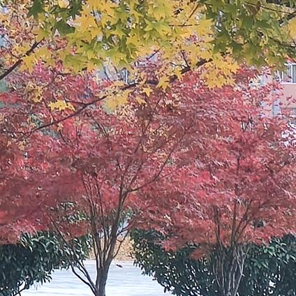 ꧔ꦿ᭄余生💞有你᭄࿐