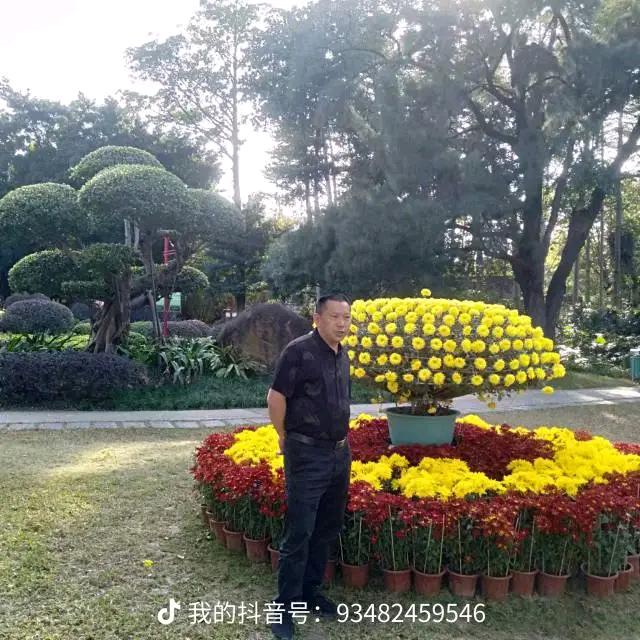 回到原点《招聘》