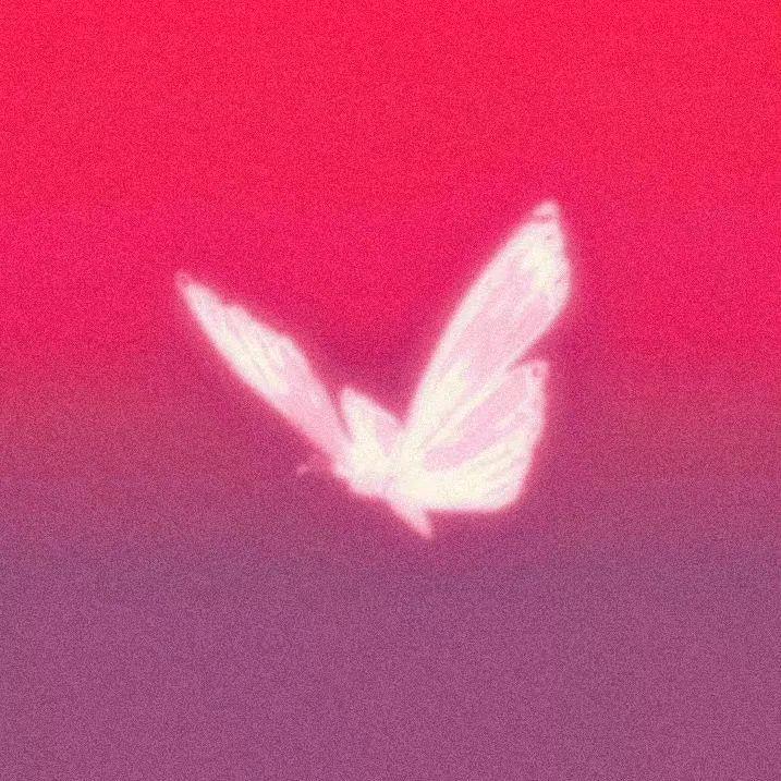 是鹅子嘛_